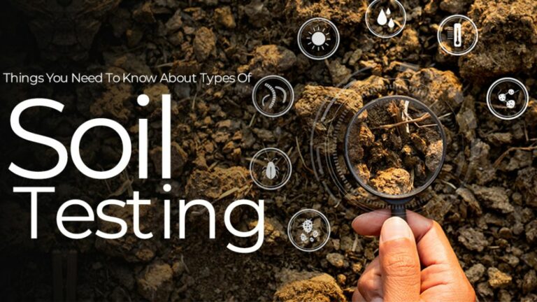 Things You Need To Know About Types Of Soil Testing